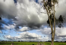 开云体育-英国网球英豪鏖战日本队，西西帕斯展现王者风采