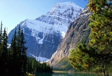 开云体育在线-法国男篮强势尼克斯，西蒙斯一己之力扛起全队